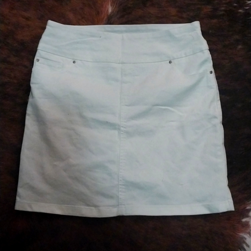 S.C. & C O. Skirt with liner size small